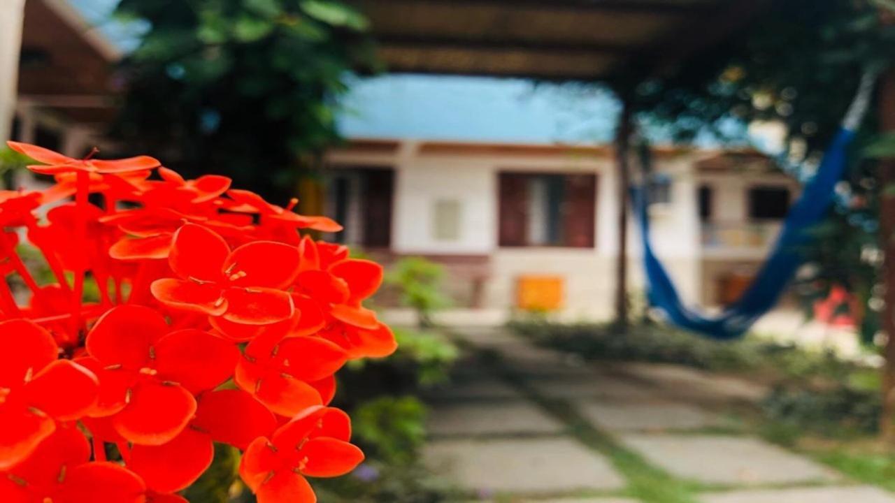 Mar Azul Paraty